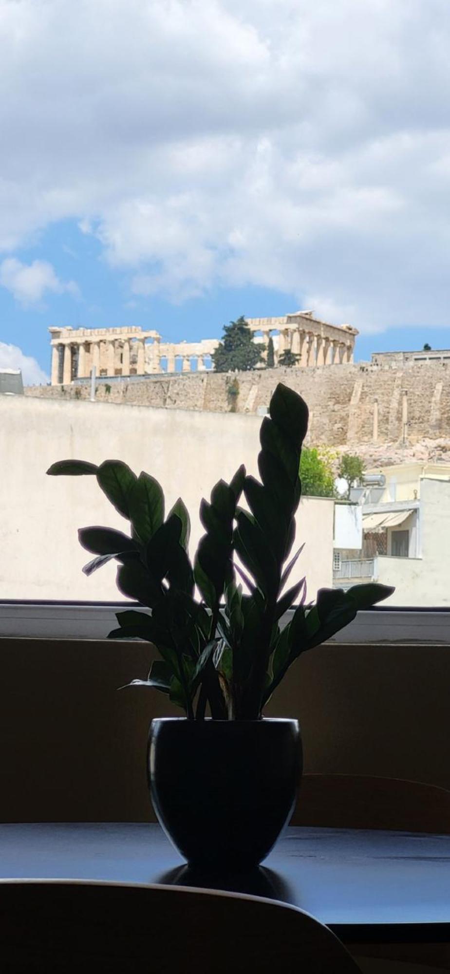 Lview Acropolis Lägenhet Aten Exteriör bild